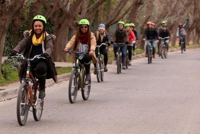 Bike wine tour. Visit 2 of the best wineries  Bike wine tour. Visit 2 of the best wineries