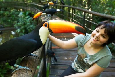 Brazilian Side Falls: Brazilian Falls Tour with Parque Das Aves: Brazilian Side Falls: Brazilian Falls Tour with Parque Das Aves: