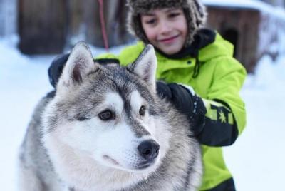 Husky Safari from Levi Including a Husky Sled Ride Husky Safari from Levi Including a Husky Sled Ride