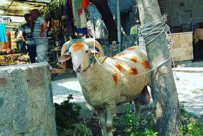 To ISTANBUL via ORHAN PAMUK To ISTANBUL via ORHAN PAMUK