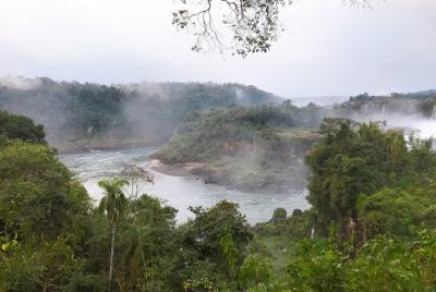 Iguazú Jungle Experience 