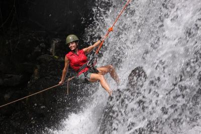 Jungle Fly: Adventure at the Jungle in Iguazu Jungle Fly: Adventure at the Jungle in Iguazu