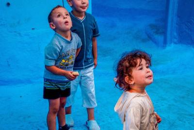 Chefchaouen Guided Tour from Fez with Skip the Line Access Chefchaouen Guided Tour from Fez with Skip the Line Access