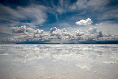 Full-Day Salinas Grandes Tour from Salta