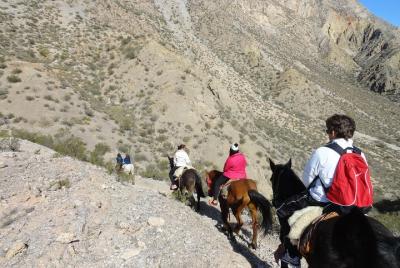 Zonda Valley Horseback Riding Zonda Valley Horseback Riding