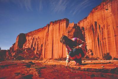 Excursión de día completo por Ischigualasto (Valle de la Luna), San Juan