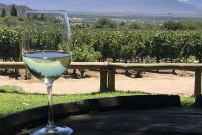 Half day excursion South Wine Routes, San Juan Half day excursion South Wine Routes, San Juan