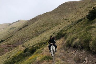 4hsHorseback Riding with snack in El Desafio, San Martín de los Andes, Argentina 4hsHorseback Riding with snack in El Desafio, San Martín de los Andes, Argentina
