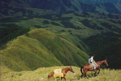 Tafi del Valle Half-Day Tour from Tucuman Tafi del Valle Half-Day Tour from Tucuman