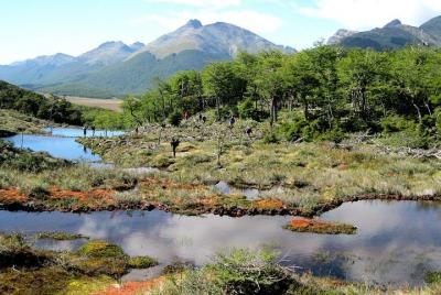 Tierra del Fuego National Park with Lapataia Bay from Ushuaia