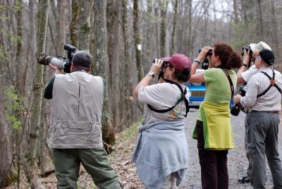 Photography & Birdwatching Tour