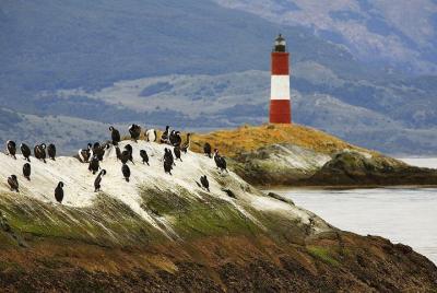 Beagle Channel On Yacht Experience