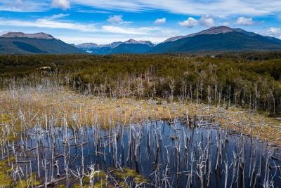 Fuegian lakes Fuegian lakes