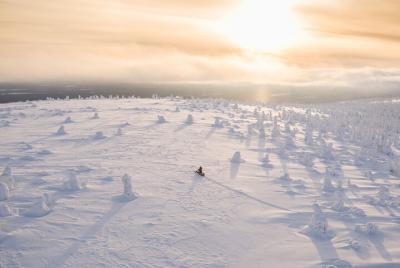 Half-Day Snowmobile Tour in Lapland Half-Day Snowmobile Tour in Lapland