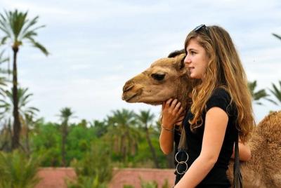 Full-Day Trip Atlas Mountains With Camel Ride Full-Day Trip Atlas Mountains With Camel Ride