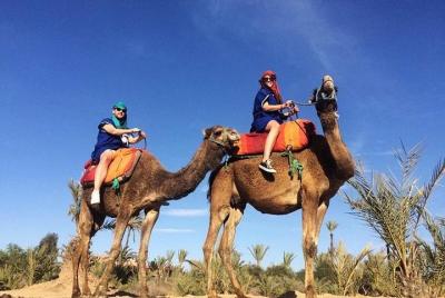 Sunset Camel Ride Tour With Barebecue Sunset Camel Ride Tour With Barebecue