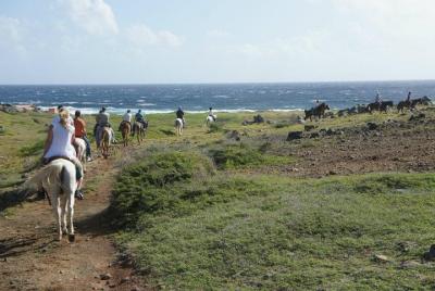 Aruba Horseback Riding Tour to Hidden Lagoon Aruba Horseback Riding Tour to Hidden Lagoon