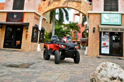 Aruba Sightseeing Tour by ATV Aruba Sightseeing Tour by ATV