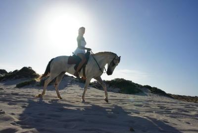 Aruba Horseback Riding Tour For Advanced Riders Aruba Horseback Riding Tour For Advanced Riders