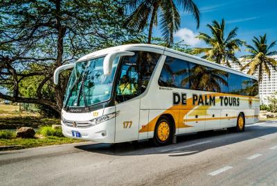 Aruba Sightseeing  Aruba Sightseeing