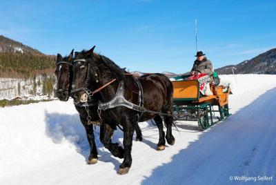 Christmas Horse-Drawn Sleigh Ride from Salzburg Christmas Horse-Drawn Sleigh Ride from Salzburg