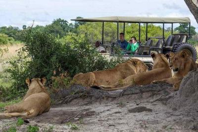Chobe National Park and Impalila Island Day Tour from Victoria Falls Chobe National Park and Impalila Island Day Tour from Victoria Falls