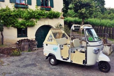 La Dolce Vienna - Ape Sightseeing Tour 