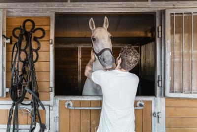 Secrets of the Fiakers incl. 60 min. horse-carriage ride Secrets of the Fiakers incl. 60 min. horse-carriage ride