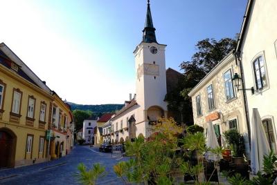 Private Vienna Woods Wine Tour