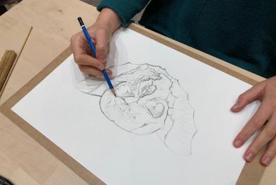 Drawing Workshop