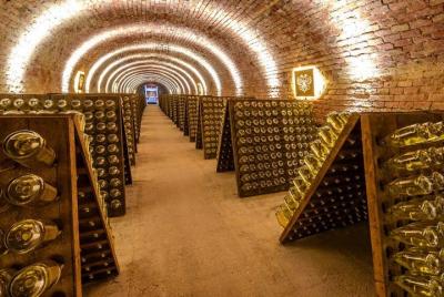 Schlumberger Sparkling Wine Cellar World Entrance Ticket in Vienn
