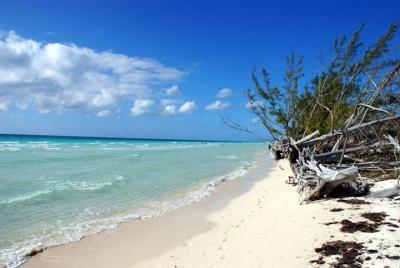 East End Island Sightseeing Tour from Freeport East End Island Sightseeing Tour from Freeport