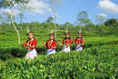 Private Tour: 5 Days - Bangladesh Nature & Culture Tour - North-e