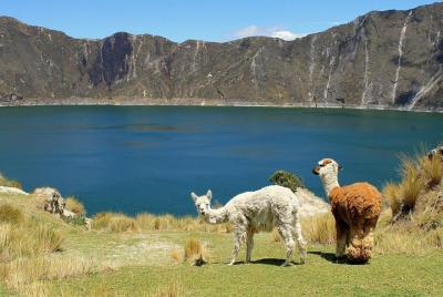 Cultural Tour Laguna Quilotoa: Hiking and Descent to the Lagoon a