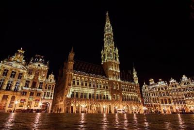 Private Arrival Transfer from Brussels Airport BRU to Brussels by