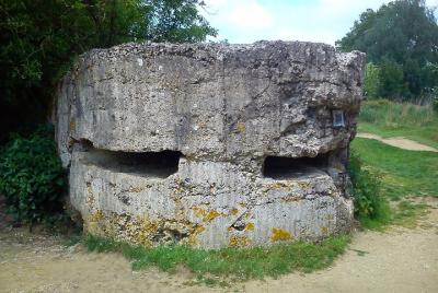 Private New Zealand Battlefield Tour in Flanders from Brussels Private New Zealand Battlefield Tour in Flanders from Brussels