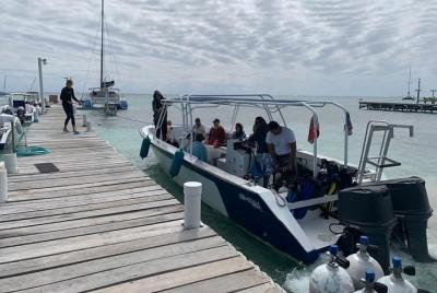 1-Tank Scuba Diving Ambergris Caye 1-Tank Scuba Diving Ambergris Caye