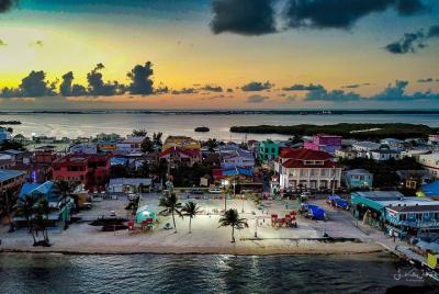 Night Scuba Dive Ambergris Caye Night Scuba Dive Ambergris Caye