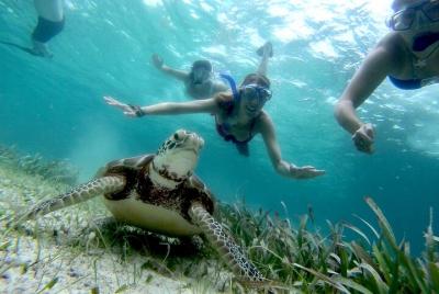 2-Tank Scuba Diving Ambergris Caye 2-Tank Scuba Diving Ambergris Caye