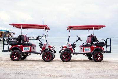 Golf Cart Rental by Group of 2 - 4 Seater  Golf Cart Rental by Group of 2 - 4 Seater