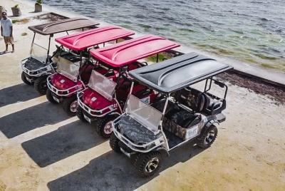Golf Cart Rental by Group 3-4seater  Golf Cart Rental by Group 3-4seater