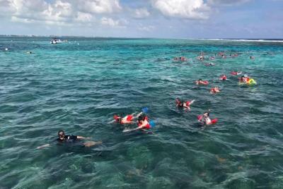 Coral Garden Shark and Sting Ray Alley Snorkeling