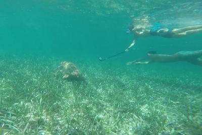 Hol Chan and Turtle Garden Snorkeling Tour