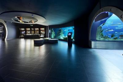 Istanbul Aquarium & Aqua Florya Shopping Mall Tour Istanbul Aquarium & Aqua Florya Shopping Mall Tour