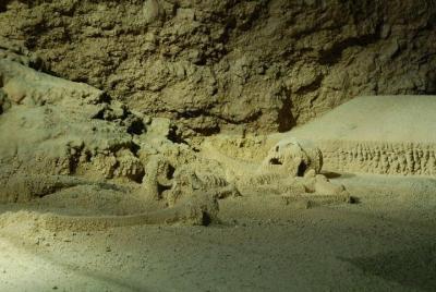 Best Activities in San Ignacio