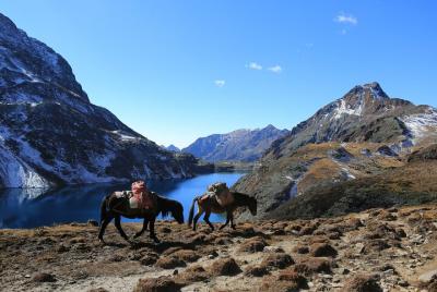 7-Day Druk Path Trek in Bhutan