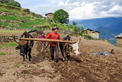 Experience Rural Bhutan Private Tour