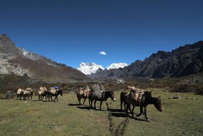 Wonders of Bhutan With 3 Days Gangtey Nature Trek