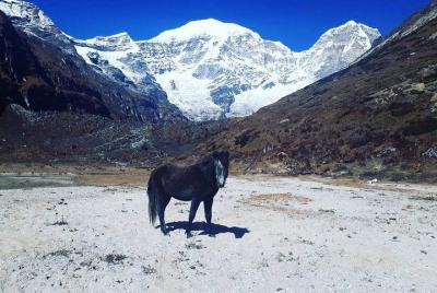 Western Bhutan with Lekshey