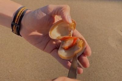Oyster Tasting with Local Fisherman Oyster Tasting with Local Fisherman